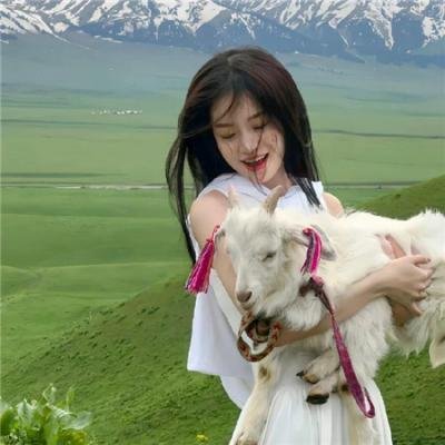 美人攻略